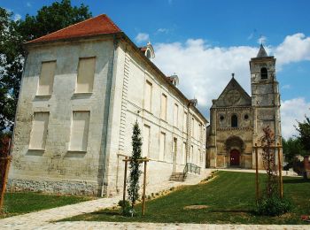 Randonnée A pied Saint-Léger-lès-Domart - Circuit du Bois des Dames - Photo