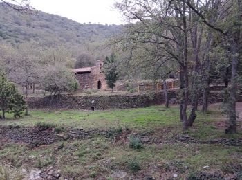 Randonnée Marche Corbère-les-Cabanes - cerbère chapelle sa t père del bosc - Photo