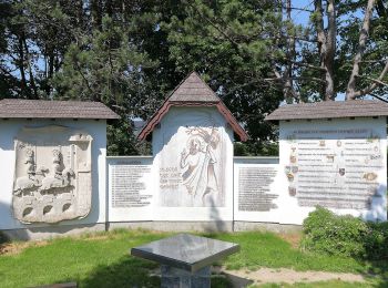 Randonnée A pied Vöcklabruck - Pfarrerwald zum Radl'bock - Photo