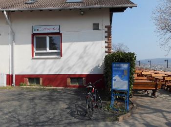 Tocht Te voet Gründau - Wanderwege um den Herzberg Nr.5 - Photo