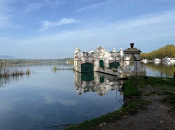 Tour Wandern Banyoles - Lac de Banyoles  - Photo