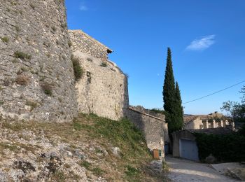 Randonnée Marche Simiane-la-Rotonde - Simiane la Rotonde - Photo