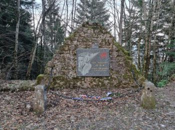 Randonnée Marche Nayemont-les-Fosses - spitzemberg1 - Photo