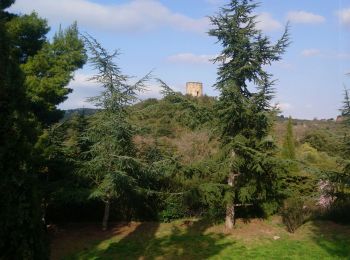 Excursión Senderismo Castelnou - Autour de Castelnou via St Marti de la Roca  - Photo