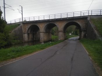 Trail Walking Virton - Lamorteau  -  Balade_VTT_28kms - Photo