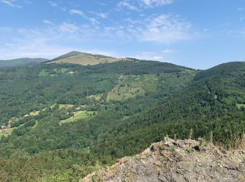 Trail Walking Jungholtz - Tierenbach-Freudstein-chapelleKurasani - Photo