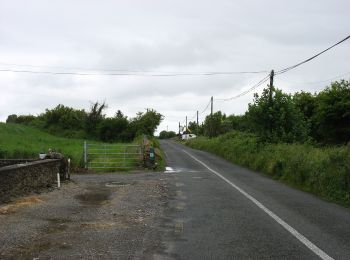 Tour Zu Fuß Claremorris-Swinford Municipal District - Sliabh Cairn Peak - Photo