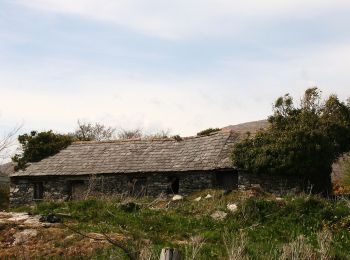 Excursión A pie West Cork - Glanlough Loop - Photo