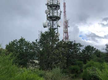 Tour Wandern Saint-Héand - St Heand  - Photo