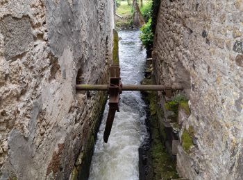 Tour Wandern Airvault - DEUX SEVRES / AIRVAULT: LES ANCIENS MOULINS - Photo