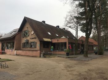 Percorso Marcia Maaseik - Wandelen in de Duinengordel - Photo