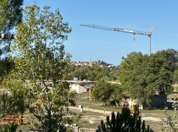 Percorso Marcia Mallemort - Mallemort - Forum - Boucle de la Durance - 6,2 km - Photo