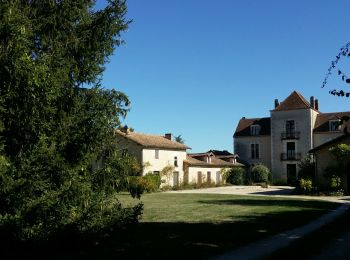 Tocht Stappen Villejoubert - La randonnée de La Macarine  - Photo