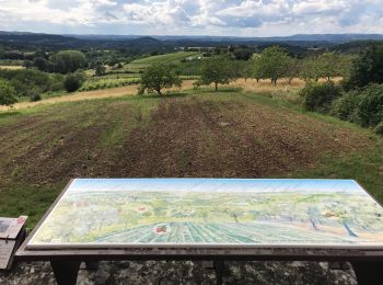 Randonnée Marche Queyssac-les-Vignes - Queyssac  - Photo