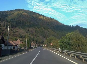 Tocht Te voet  - Stânceni - Valea Gudea Mică - Vârful Fâncel - Photo