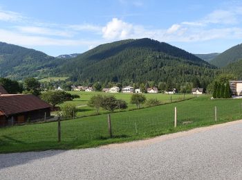 Tour Zu Fuß Gemeinde Puchberg am Schneeberg - Puchberg - Fischersteig - Bbhf. Hochschneeberg - Photo