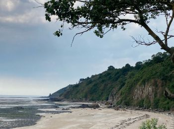 Randonnée Marche Champeaux - Les falaises de Champeaux - Photo