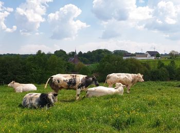 Excursión Senderismo Nivelles - Balade à Monstreux - Nivelles - Photo