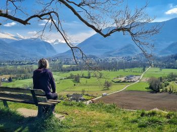 Trail Walking Buzy - Trace-Gps-Boucle-Croix-de-Buzy - Photo