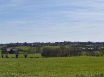 Tocht Stappen Welkenraat - 20220411 - Grunhaut 7 Km - Photo