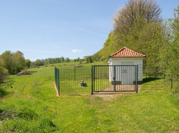 Randonnée A pied Kalletal - Luhbachweg - Photo