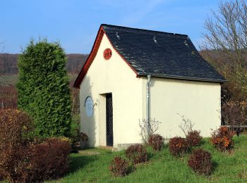 Tour Zu Fuß Eltville am Rhein - Rundwanderweg Rotmilan - Photo