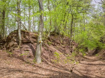 Percorso A piedi Königsberg in Bayern - Lauftour KÖN1 - Photo