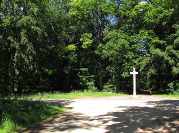 Randonnée Marche Saint-Crépin-aux-Bois - en forêt de Laigue_13_05_2021_le Mont des Châtillons - Photo