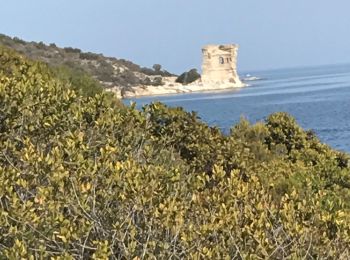 Trail Walking Saint-Florent - St Florent Plage de Saleccia - Photo