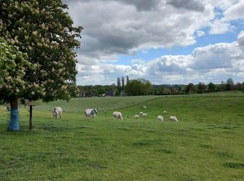 Percorso Marcia Genappe - petit tour par le Sclage. - Photo