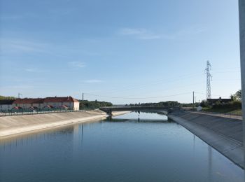 Excursión Bici eléctrica La Loge-aux-Chèvres - Tour lac Mesnil St Père - Photo