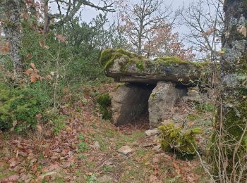 Excursión Senderismo Sainte-Eulalie-de-Cernon - ste eulalie in live - Photo