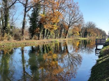 Randonnée Marche Saint-Lyé - SAINT-LYE - Photo