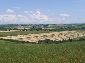 Tocht Stappen Siena - SityTrail - Sienne /  Ponte d'Arbia - Photo