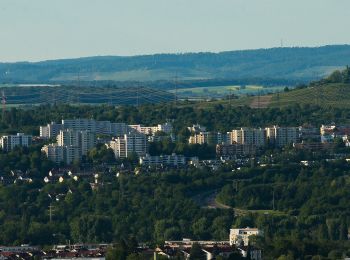 Tocht Te voet Waiblingen - Waiblingen - Winnenden - Photo