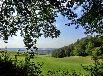 Excursión A pie Seybothenreuth - Seybothenreuth-Birker Jakobusweg - Photo