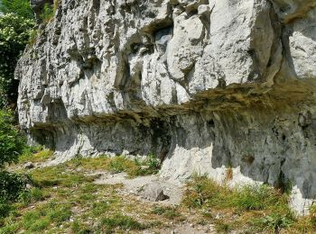 Tocht Te voet Salzhemmendorf - SA3 Kanstein Rundwanderweg - Photo