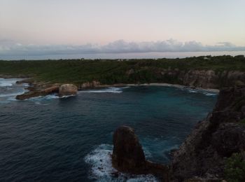 Tour Wandern Le Moule - Pointe Conchou - Porte d'Enfer - Photo