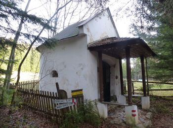 Randonnée A pied Gemeinde Schottwien - Rundwanderweg - Photo