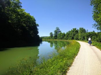 Excursión A pie Montbard - Circuit d'Arlette - Photo