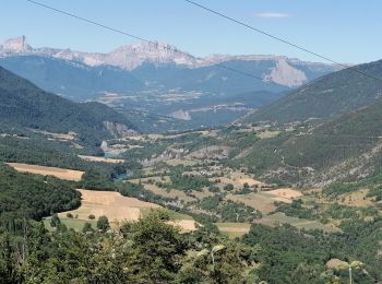 Tour Wandern Châtel-en-Trièves - arboretum st jean gérants 2023 - Photo