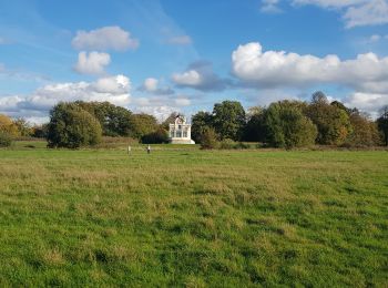 Tocht Stappen Hoeilaart - Hoeilaert_1022 - Photo