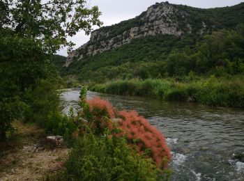 Percorso Marcia Gréoux-les-Bains - du Verdon aux gorges du Collostre - Photo