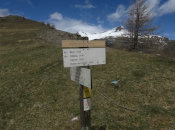 Randonnée Marche Beuil - Mont Moulines en boucle depuis Beuil - Photo