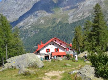 Tocht Te voet Chiesa in Valmalenco - IT-321 - Photo