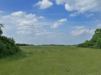 Excursión A pie Bad Münstereifel - EifelSchleife Von Sternen und Römern - Photo