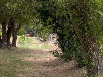 Percorso Marcia Taulignan - Taulignan chemin de la soie - Photo