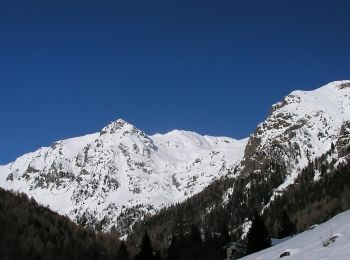 Tour Zu Fuß Palai im Fersental - IT-E311 - Photo