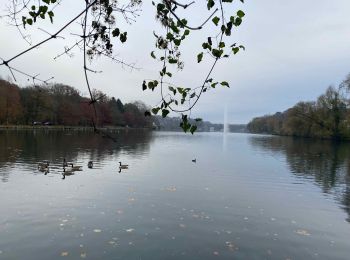 Randonnée Marche Rixensart - Rosières - Lac de Genval - Tombeek - Photo