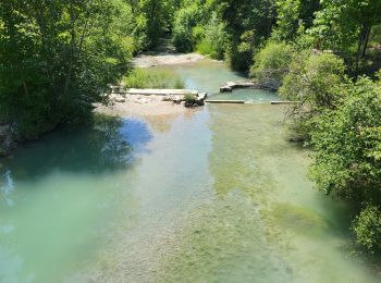 Excursión Senderismo La Bastide - LA BASTIDE - DU BROUIS A L'ARTUBY - Photo